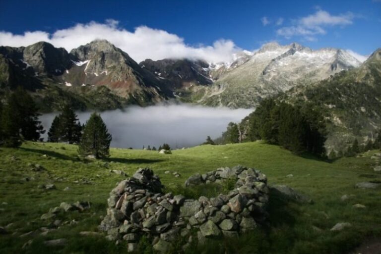 montane