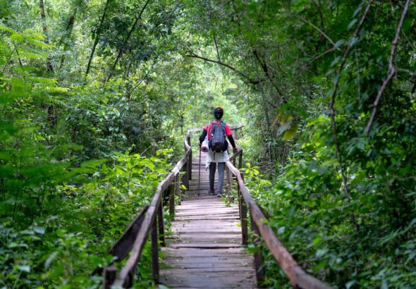 Vacances écoresponsables : 12 conseils concrets pour voyager sans culpabiliser