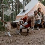 7 erreurs de marketing digital qui plombent votre camping