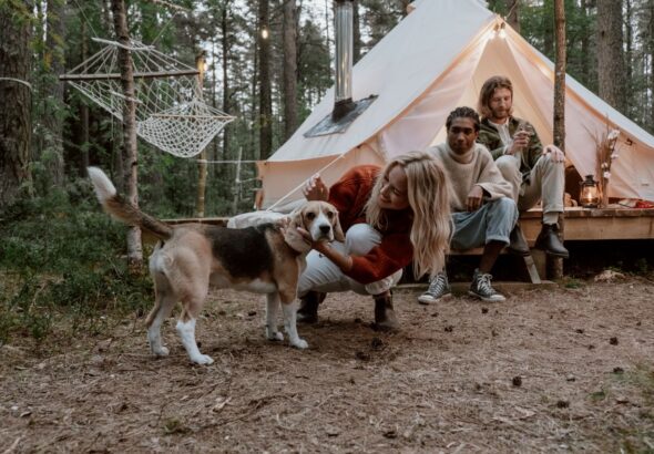 7 erreurs de marketing digital qui plombent votre camping
