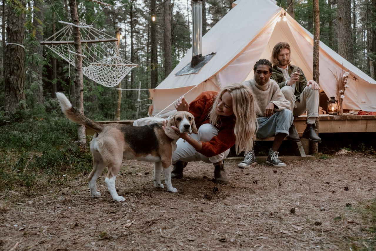 7 erreurs de marketing digital qui plombent votre camping